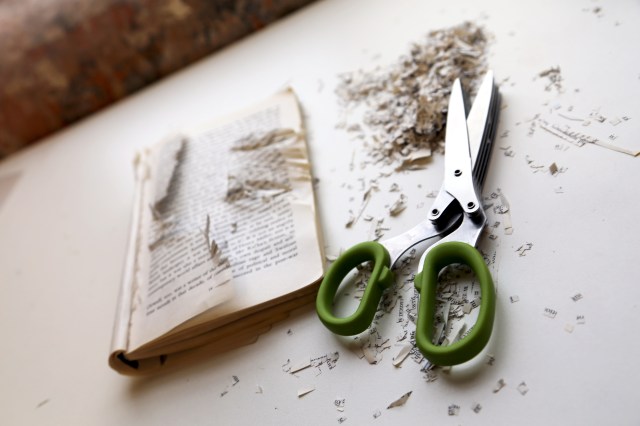 Gavin Rogers Revolution 2014 (1)