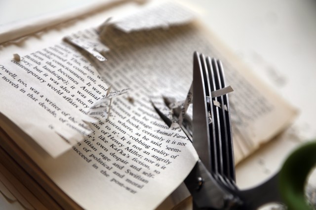 Gavin Rogers Revolution 2014 (2)