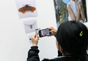 Gavin Rogers Eye Prism 2014 (1)