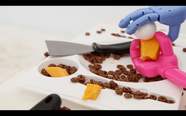 Gavin Rogers, Emily Warner