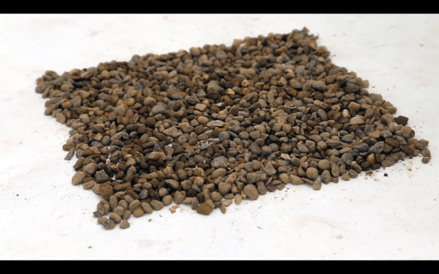 Gavin Rogers, Emily Warner