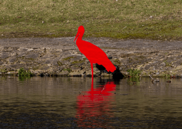 Screen Shot 2018-02-26 at 13.41.37