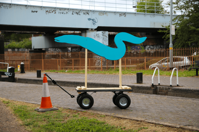 Gavin Rogers Eel on Wheels4